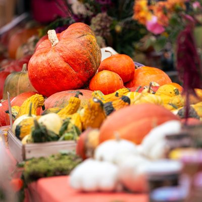 Foire aux saveurs d'automne 2025 04